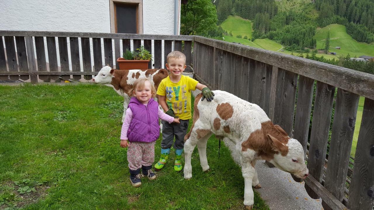 Ausserharmerhof Santa Maddalena in Casies Luaran gambar